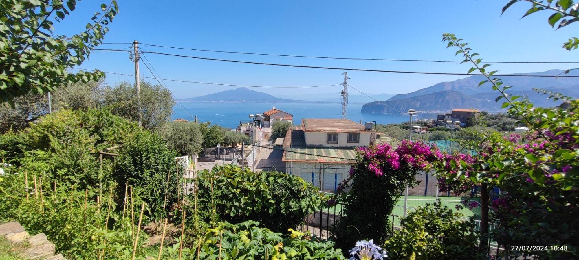 Bed and Breakfast Lally'S Garden Sorrent Exterior foto